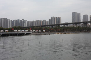 城市河畔桥梁与林立高楼