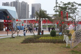 城市广场热闹景象