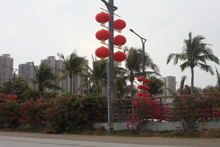 城市街道上的喜庆红灯笼