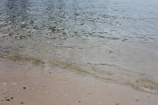 海边沙滩与轻柔海浪