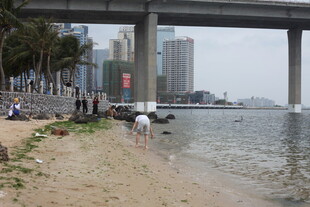 城市江边桥下的休闲场景