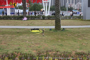 公园草坪上的休闲场景