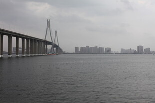 跨海大桥远眺城市天际线
