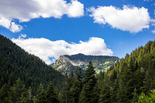 青山蓝天间的秀丽山林