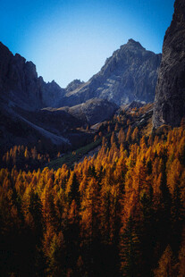 秋日山林间的壮美山景