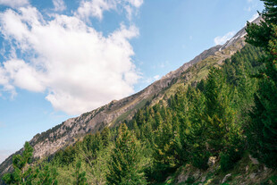 青山绿树间的秀丽山景