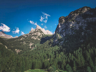 壮丽山景与葱郁森林