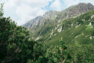 山间绿意盎然的秀丽景致