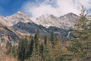 壮丽山林间的巍峨雪山
