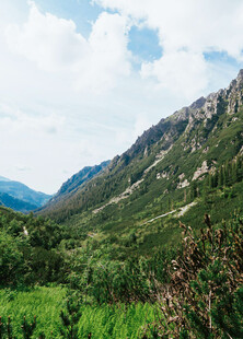 青山绿野间的秀丽山景