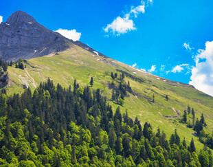 青山翠林间的秀丽山景