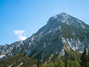 巍峨青山伴葱郁林木