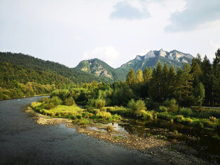 山间河流旁的葱郁景致
