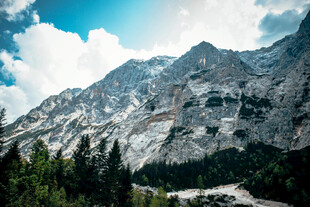 壮丽高山与葱郁森林景观