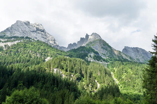 山峦叠翠间的森林美景