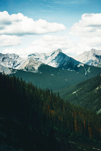 壮丽山峦与葱郁森林景观