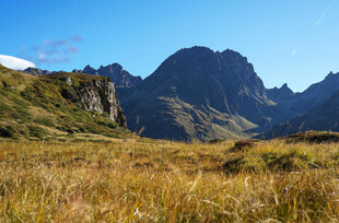 高山草甸壮丽自然风光