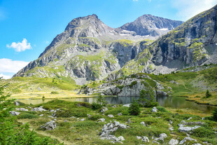 壮丽高山草甸景观
