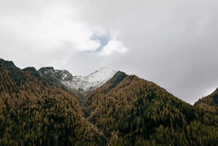 云雾缭绕的山林美景