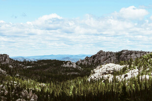 壮丽山景与葱郁森林