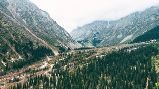 山谷中的葱郁山林与道路