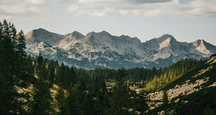 壮丽山景与葱郁森林