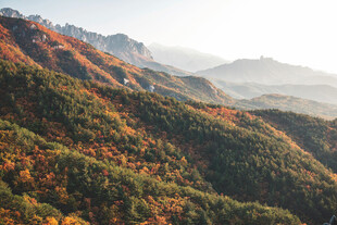 秋日层林尽染的山峦美景