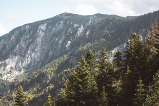 山林间的巍峨山峰