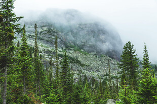 山林云雾间的绿意景致