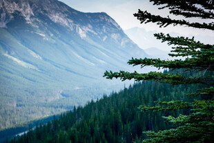 山林间的朦胧山景