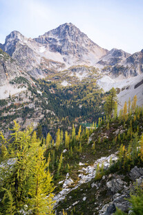 壮丽山景与葱郁林木