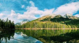 湖光山色中的山林美景