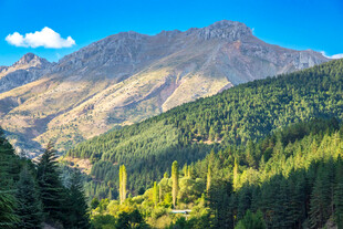 壮丽山景与葱郁森林