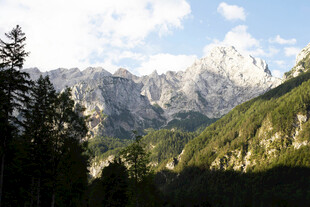 壮丽山景与葱郁森林