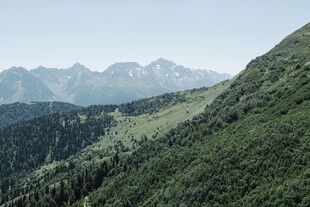 青山葱郁间的秀丽山景