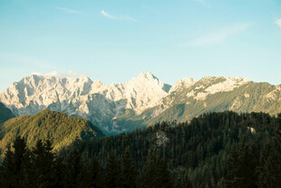 壮丽山峦与葱郁森林景观