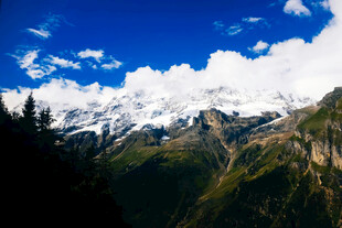壮丽雪山与蓝天绿树美景