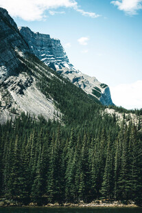 巍峨山峦下的茂密森林