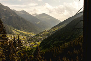 山谷间的葱郁山林美景