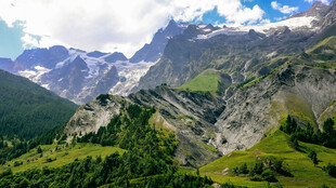 壮丽高山绿野景观