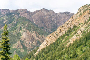 壮丽山景与葱郁植被