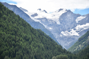 壮丽雪山与葱郁山林景观