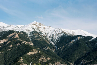 雪山森林壮丽自然景观