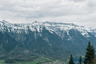 雪山下的葱郁山林