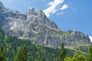 壮丽山景与葱郁森林