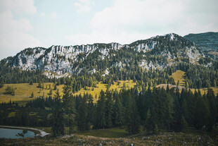 雪山下的森林湖泊美景