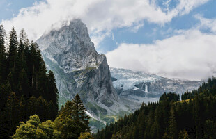 巍峨山峦与葱郁森林景观