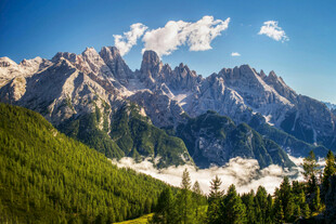 壮丽山景与葱郁森林