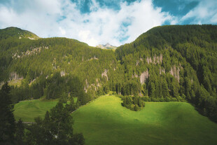 翠绿山峦间的明媚风光