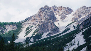 壮丽雪山与葱郁山林景观